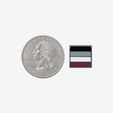Mini Asexual Flag Enamel Pin